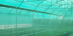Agro Nets in pondicherry